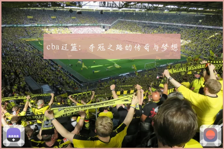 cba辽篮：夺冠之路的传奇与梦想