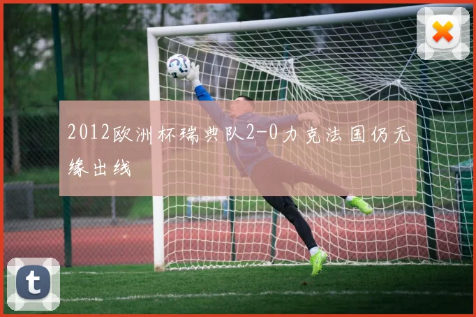 2012欧洲杯瑞典队2-0力克法国仍无缘出线