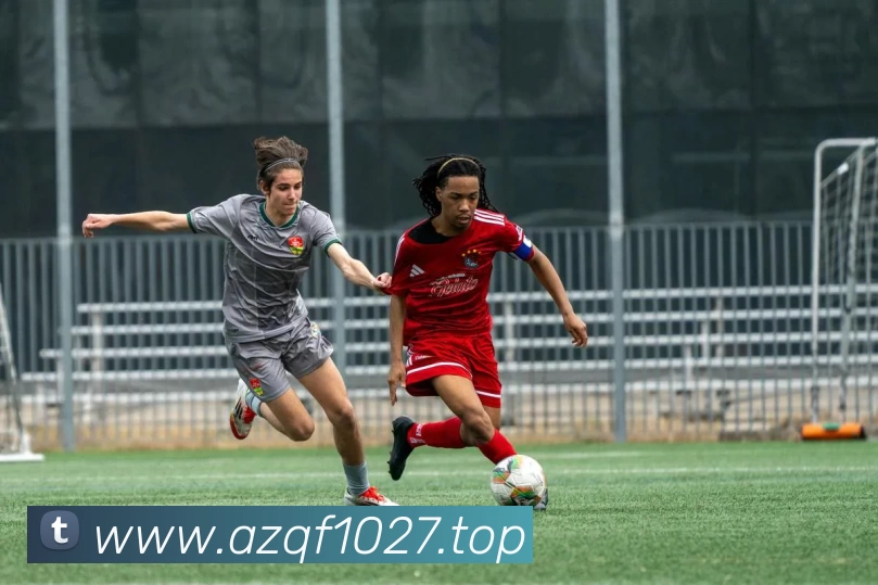 开云(中国)Kaiyun·官方网站 - 登录入口APP 封面图