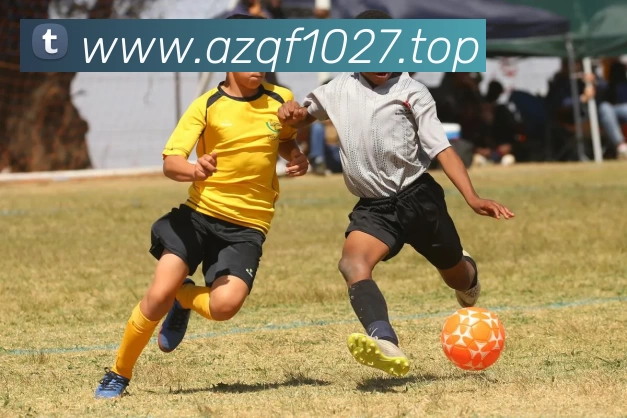 开云(中国)Kaiyun·官方网站 - 登录入口APP 封面图